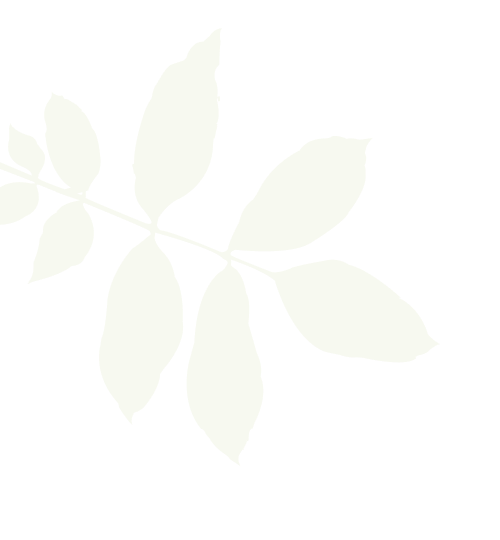 leaves-white